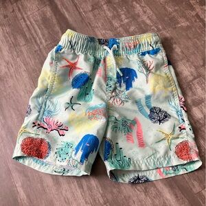Boys Colorful Sea Life Swim Shorts